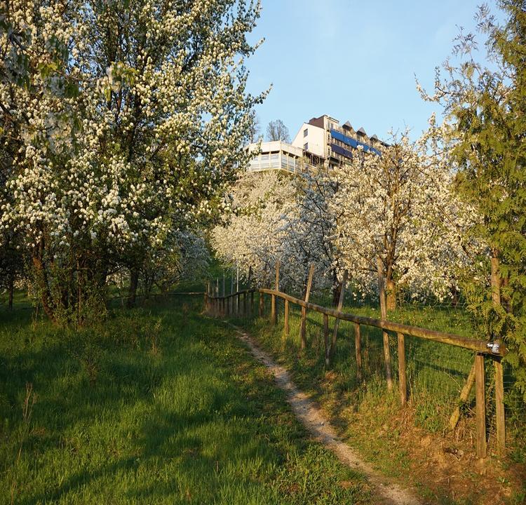 Berg-Gasthof Hotzelein